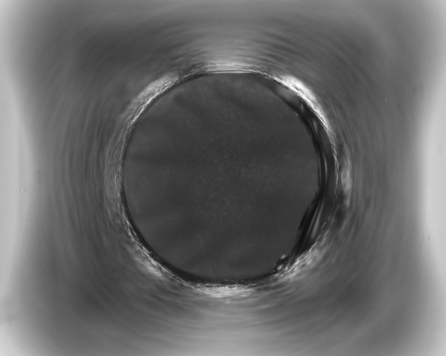 X0000084520385200703161552