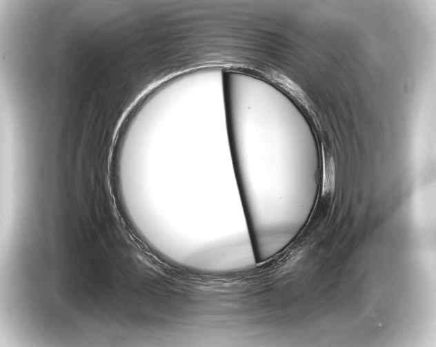 X0000084520387200703161552