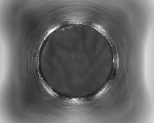 X0000084520390200703161552