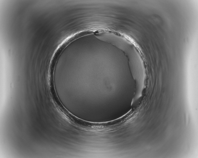 X0000084520391200703161552