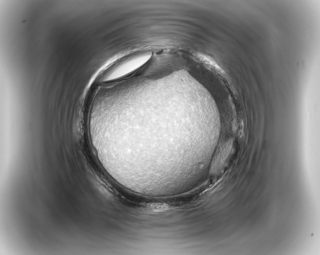 X0000084520392200703161552