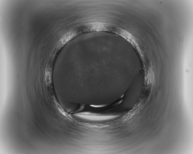 X0000084520393200703161552