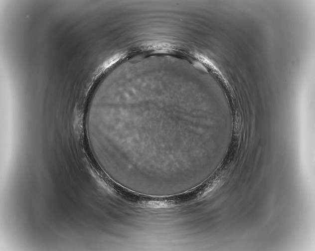 X0000084520394200703161552