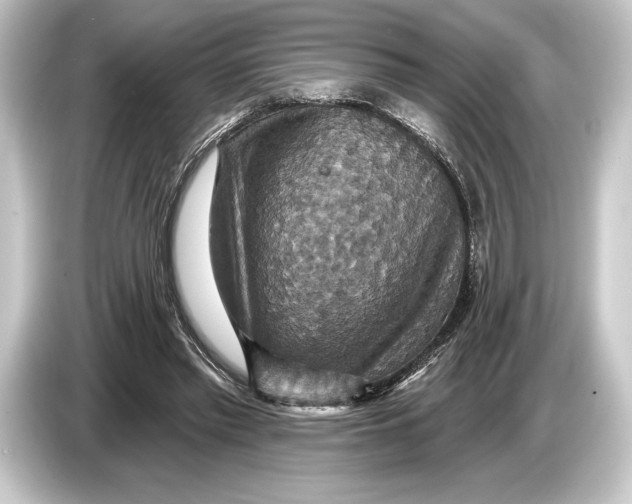 X0000084520397200703161552