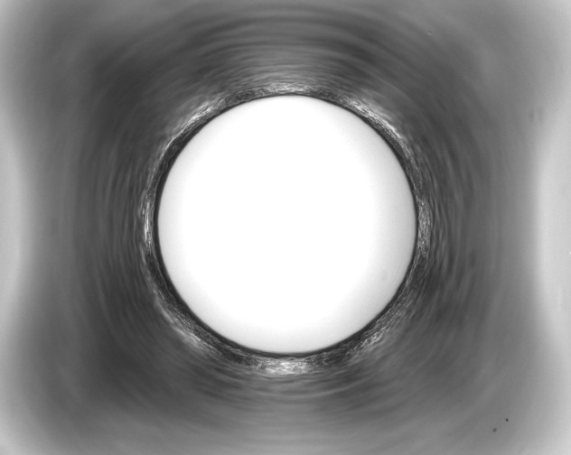 X0000084520398200703161552