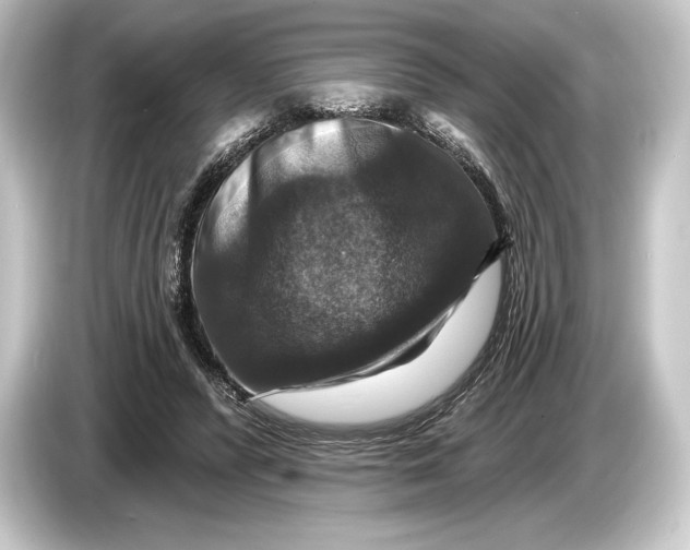 X0000084520400200703161552