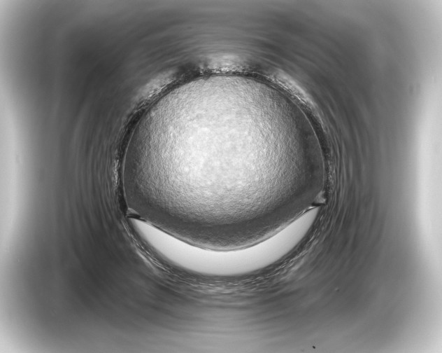 X0000084520401200703161552