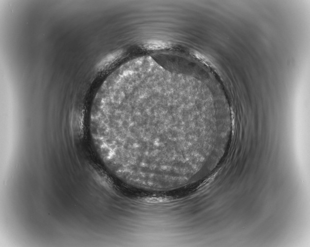 X0000084520404200703161551