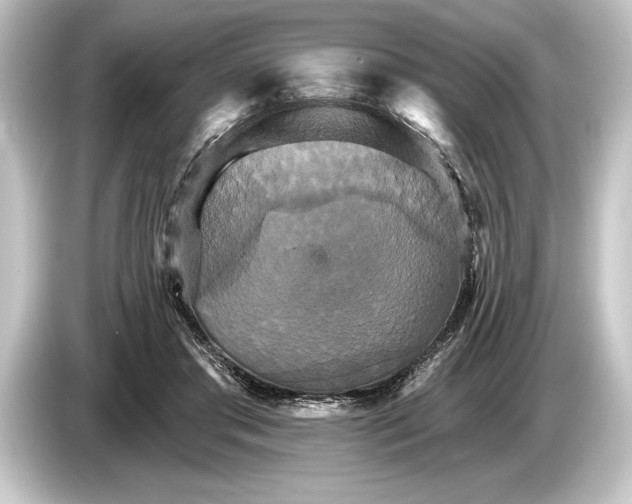 X0000084520405200703161551