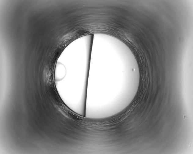 X0000084520408200703161551