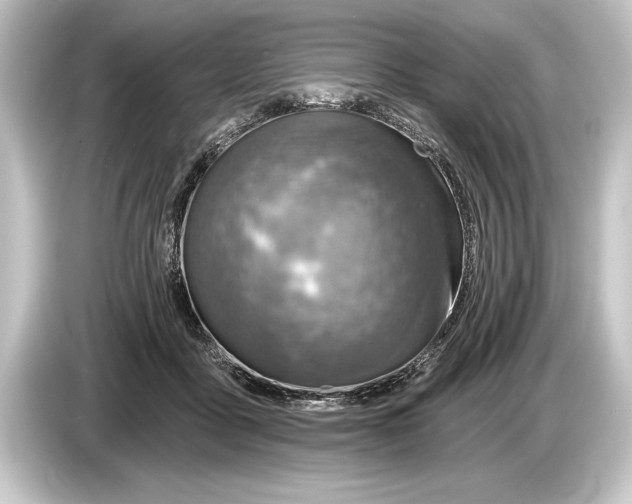 X0000084520411200703161551