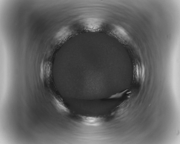 X0000084520412200703161551