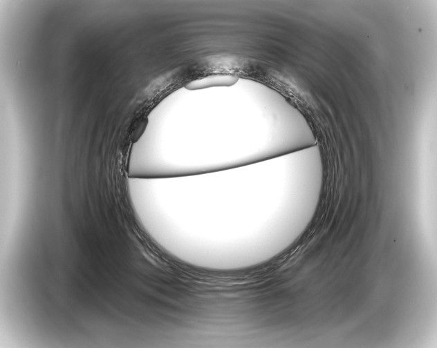 X0000084520413200703161551