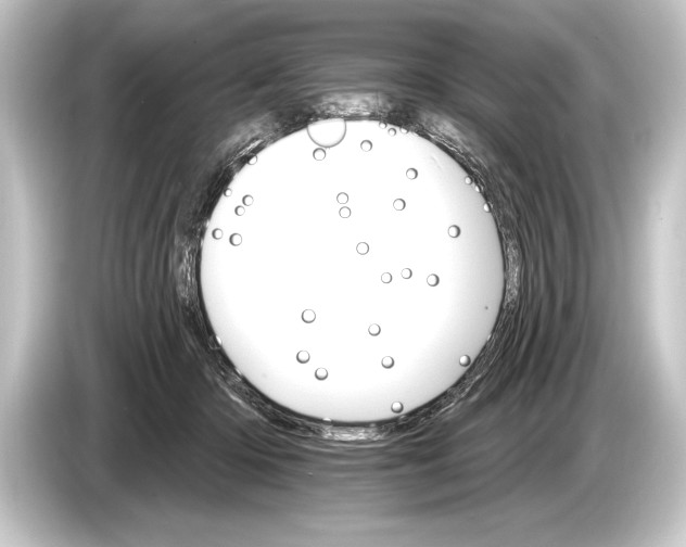 X0000084520414200703161551