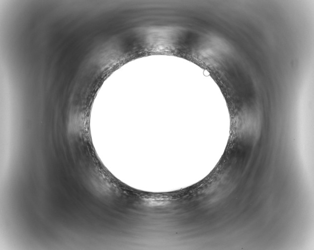 X0000084520415200703161551