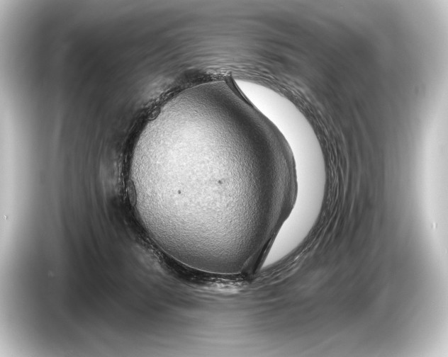 X0000084520416200703161551