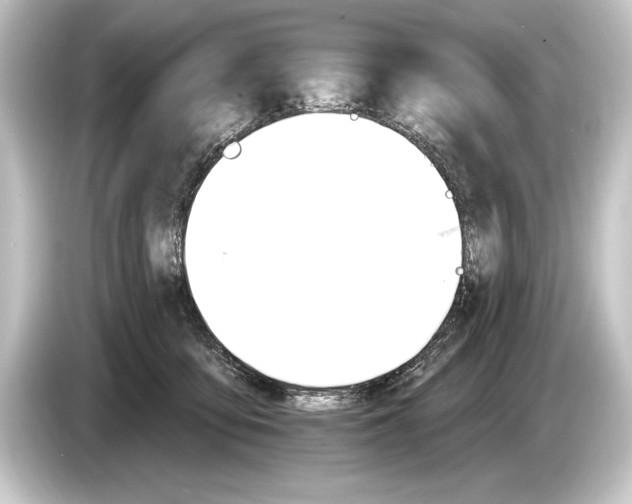 X0000084520419200703161551