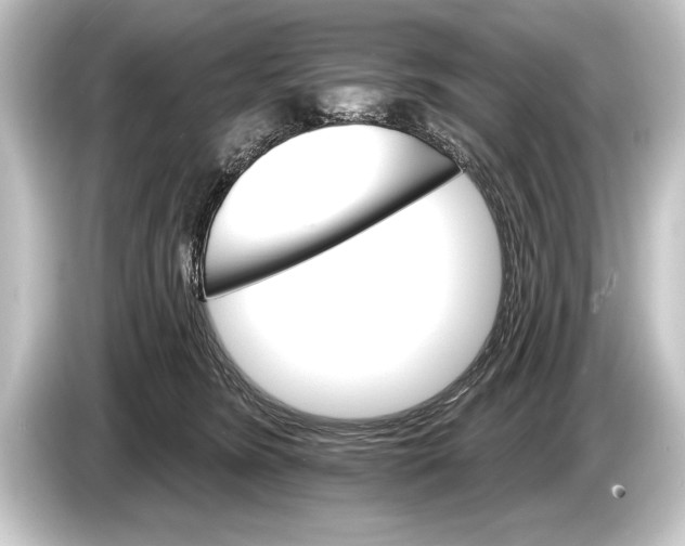 X0000084520420200703161551