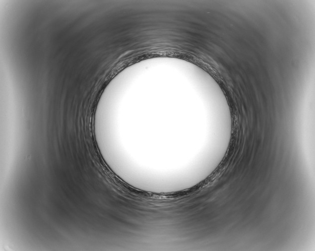 X0000084520421200703161551