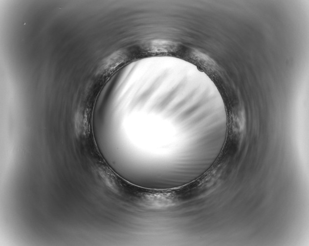 X0000084520422200703161551