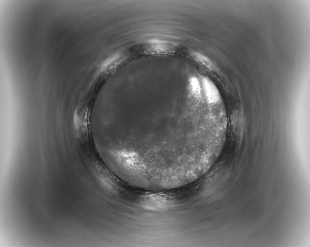 X0000084520423200703161551