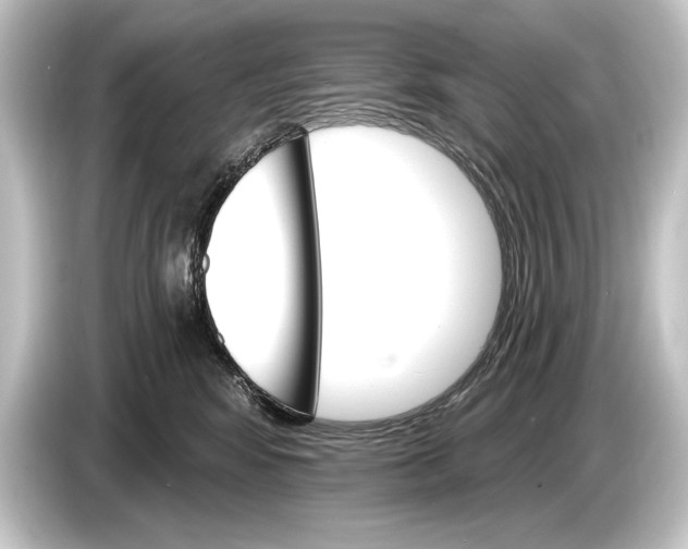 X0000084520424200703161551