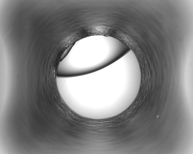 X0000084520425200703161551