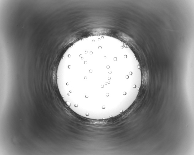 X0000084520426200703161551