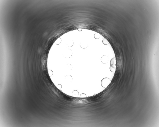 X0000084520427200703161551