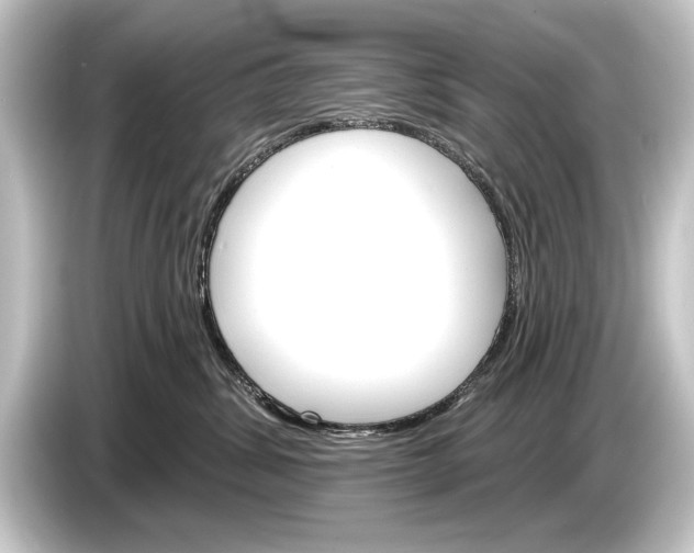 X0000084520428200703161551