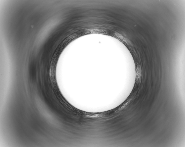 X0000084520430200703161551