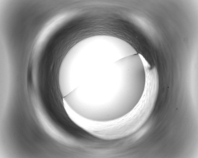 X0000084520431200703161551