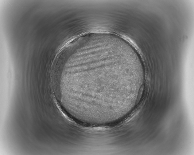 X0000084520433200703161551