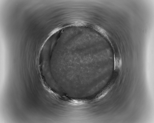 X0000084520435200703161551