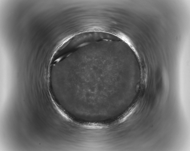 X0000084520437200703161551