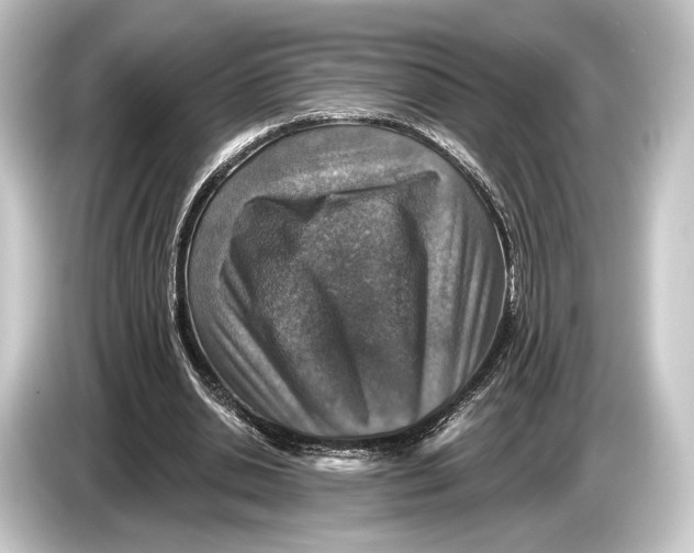 X0000084520438200703161551