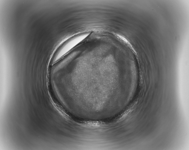 X0000084520439200703161551