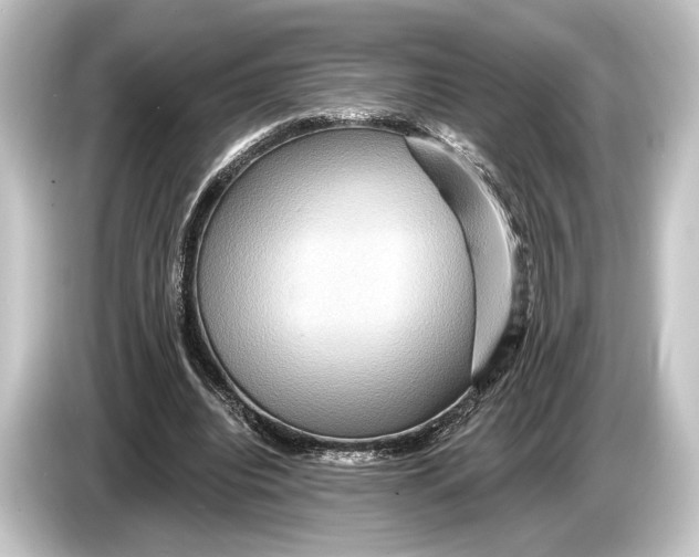 X0000084520440200703161551