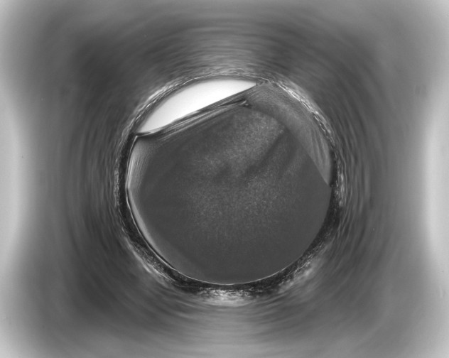 X0000084520442200703161551