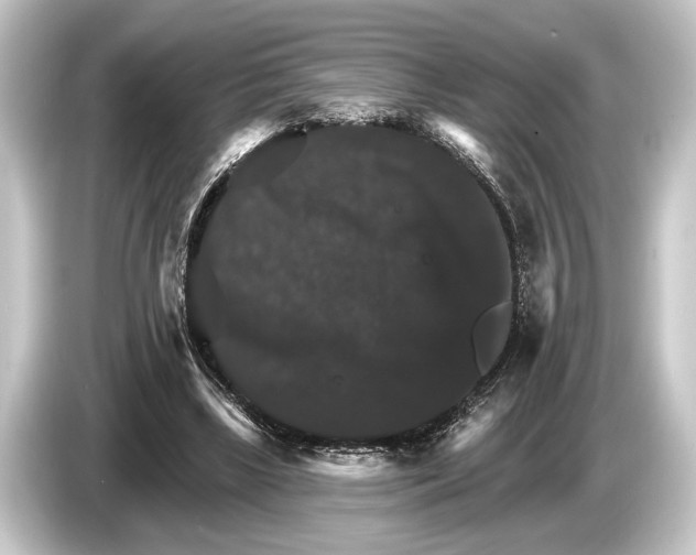 X0000084520443200703161551