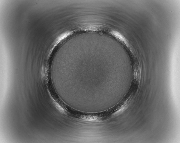 X0000084520444200703161551