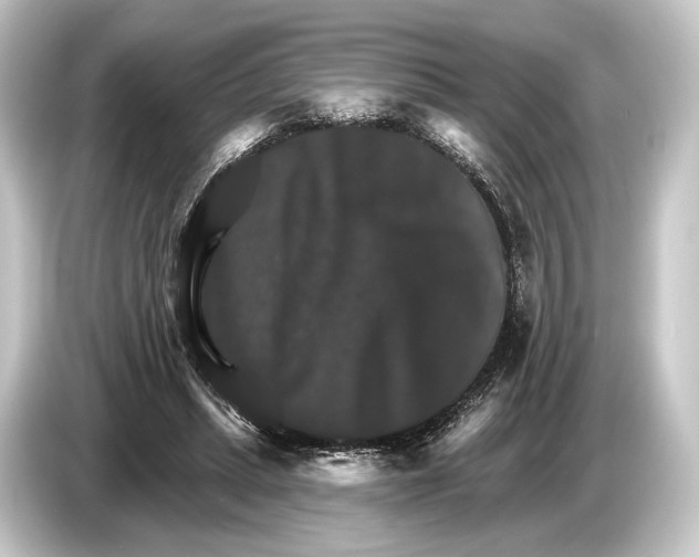 X0000084520447200703161551