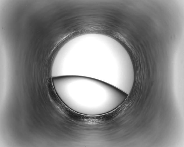 X0000084520448200703161551