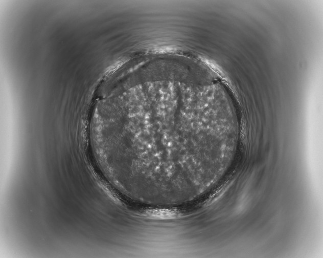 X0000084520449200703161551