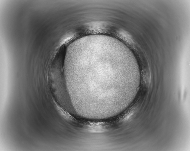 X0000084520450200703161551