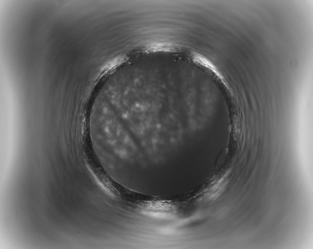 X0000084520451200703161551