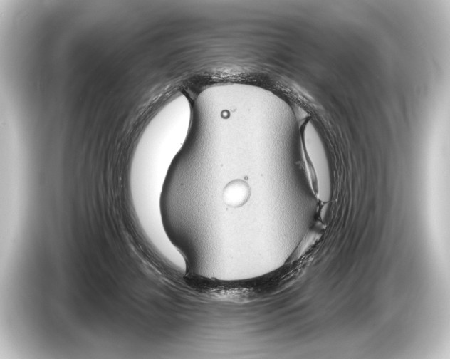 X0000084520452200703161551