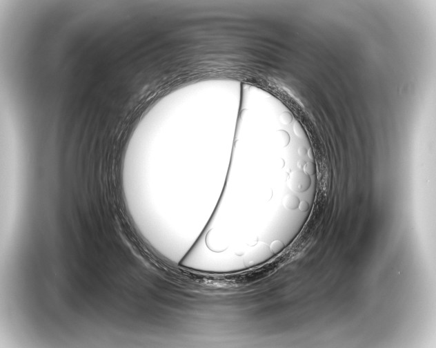 X0000084520455200703161551