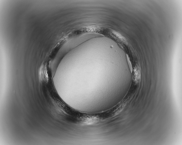 X0000084520456200703161551