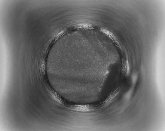 X0000084520457200703161551